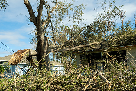 Public Adjusters Associates - Residential Windstorm Damage Image 3